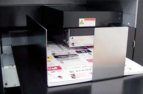 Steuber Aero Die Cut